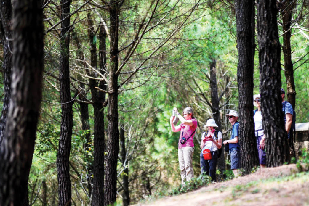 Không tổ chức tour vì an toàn của cộng đồng  du khách
