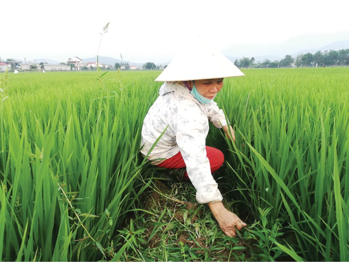 Để người dân mạnh dạn tiếp cận bảo hiểm y tế