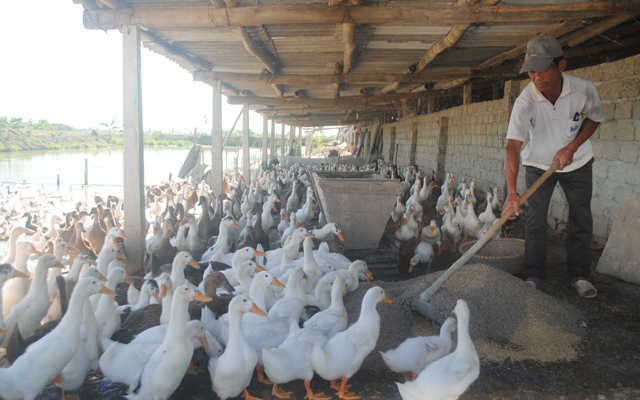 TP Huế vận động hỗ trợ bà con nông dân tiêu thụ sản phẩm nông, thủy sản