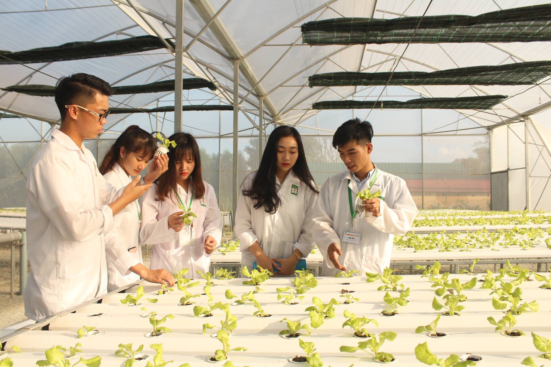 ĐH Huế sẽ phối hợp hướng nghiệp trên truyền hình cho học sinh