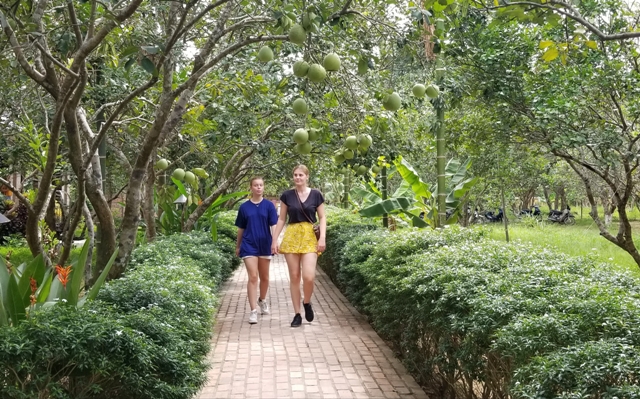 Tạm dừng đón khách tại các cơ sở kinh doanh lưu trú trên địa bàn thành phố Huế