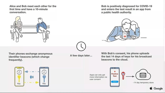 Apple hợp tác Google làm hệ thống theo dõi Covid-19