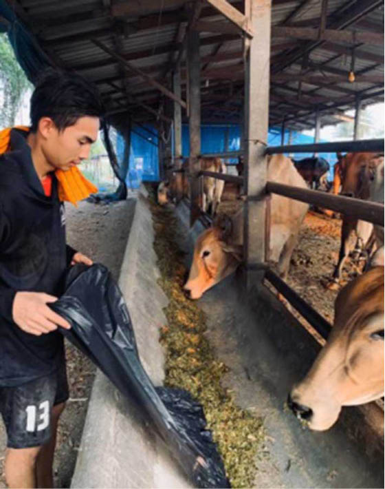 Không ra sân đá thì… “chự bò”