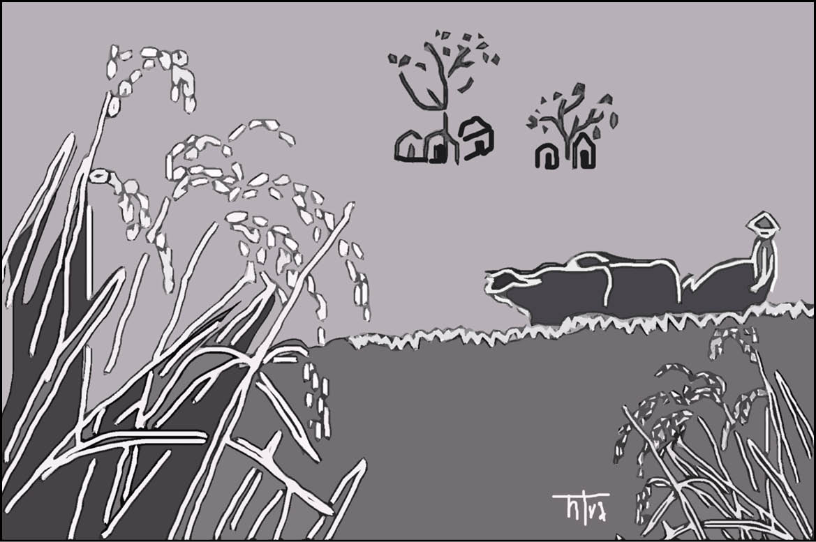 Mùa lúa cúi xanh