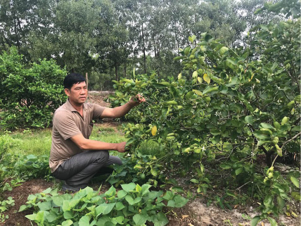 Thành công trên đất bạch sa