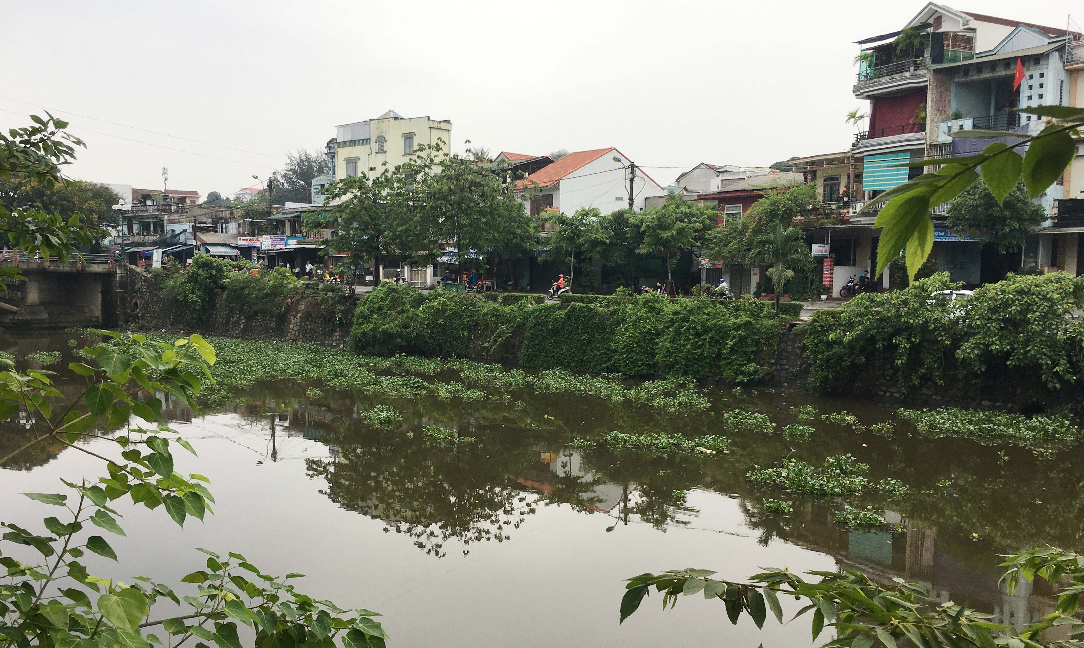 “Nhiều mũi giáp công” để dẹp vấn nạn bèo tây