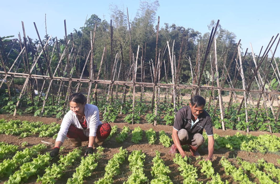 “Ăn, ngủ” cùng đất