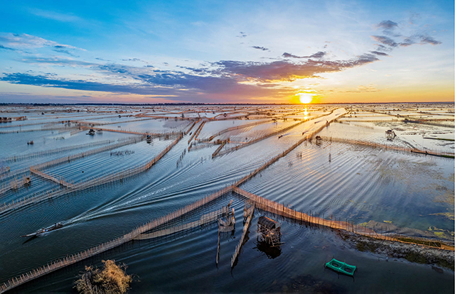 Brand for Tam Giang-Cau Hai Lagoon fish