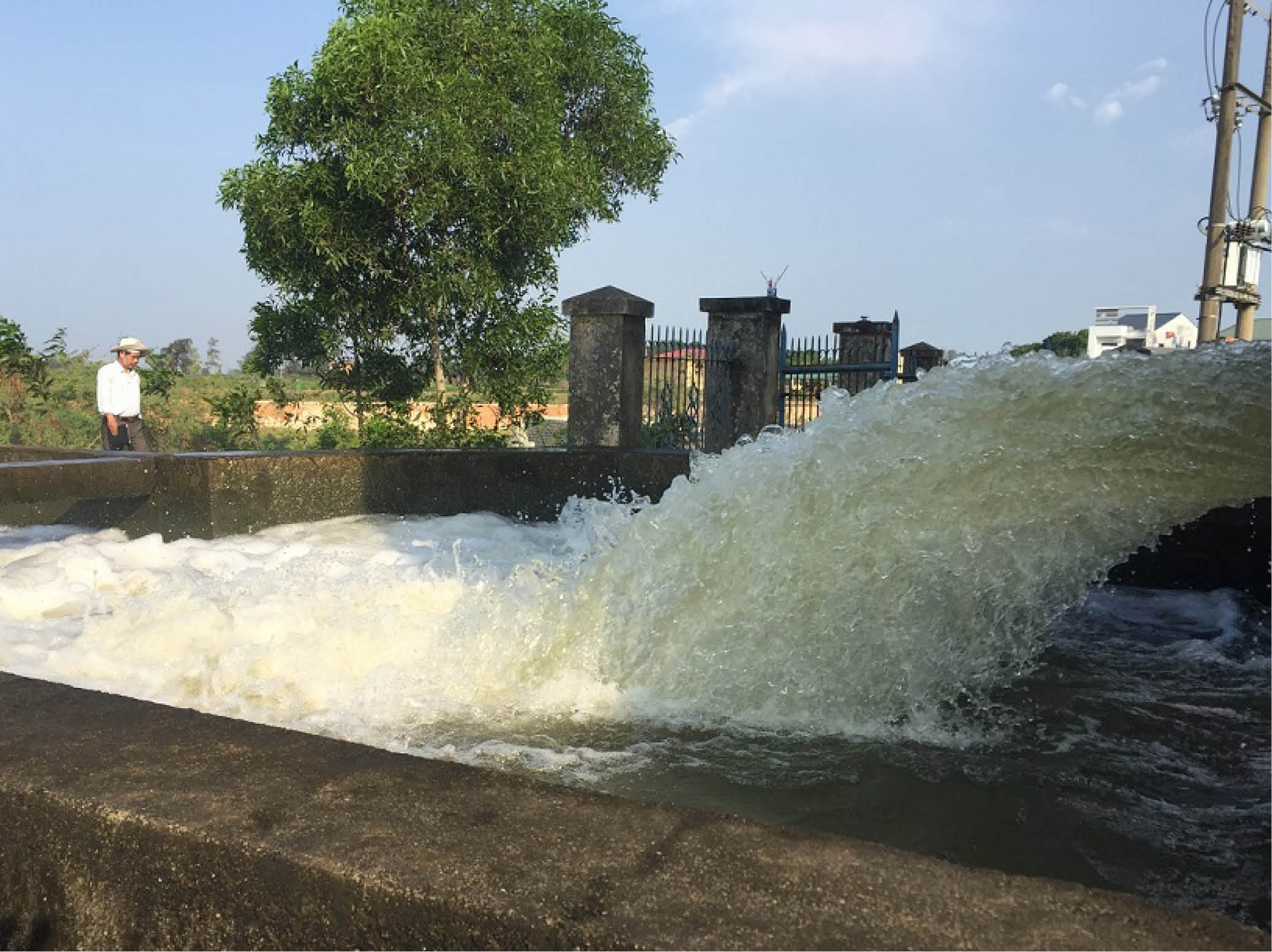 Ứng phó hạn, mặn cho vụ hè thu