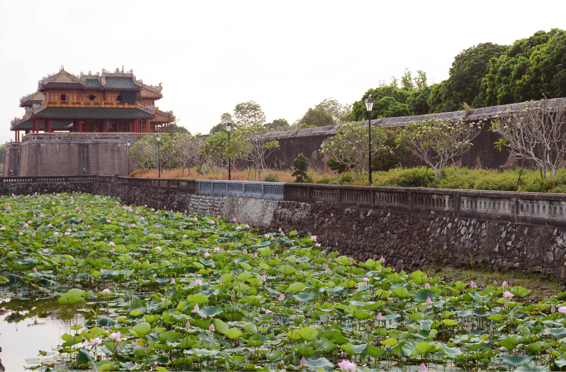 Giải tỏa niềm “tự ái”
