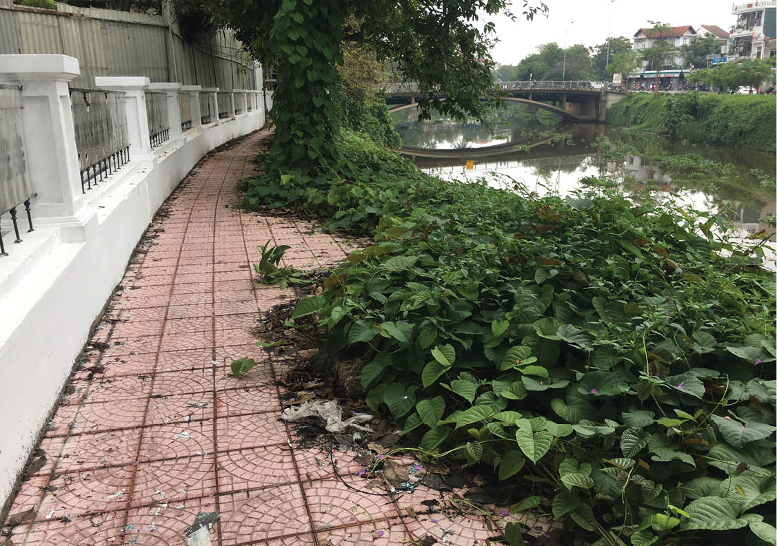 Bỏ bê rất uổng