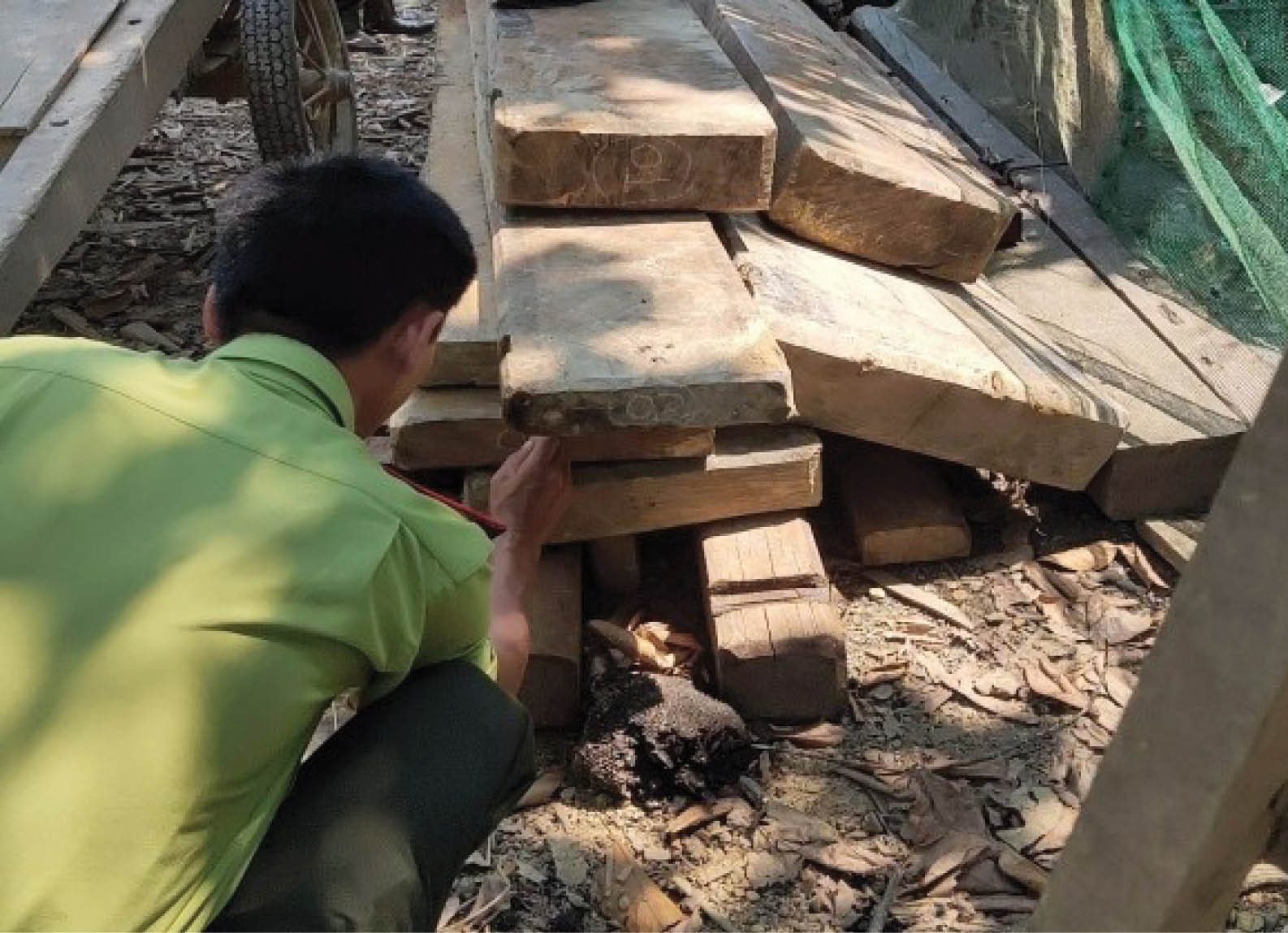 Rừng lại kêu cứu