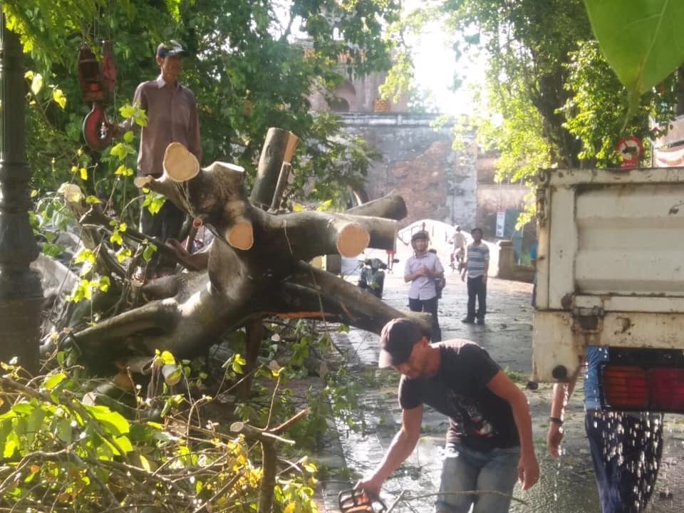 Cây cối gãy đổ, đường dây điện hư hỏng do lốc