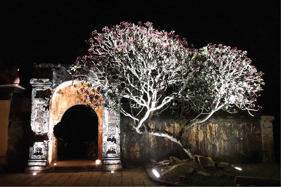 Truong Phuoc Thanh  the story of artistic lighting