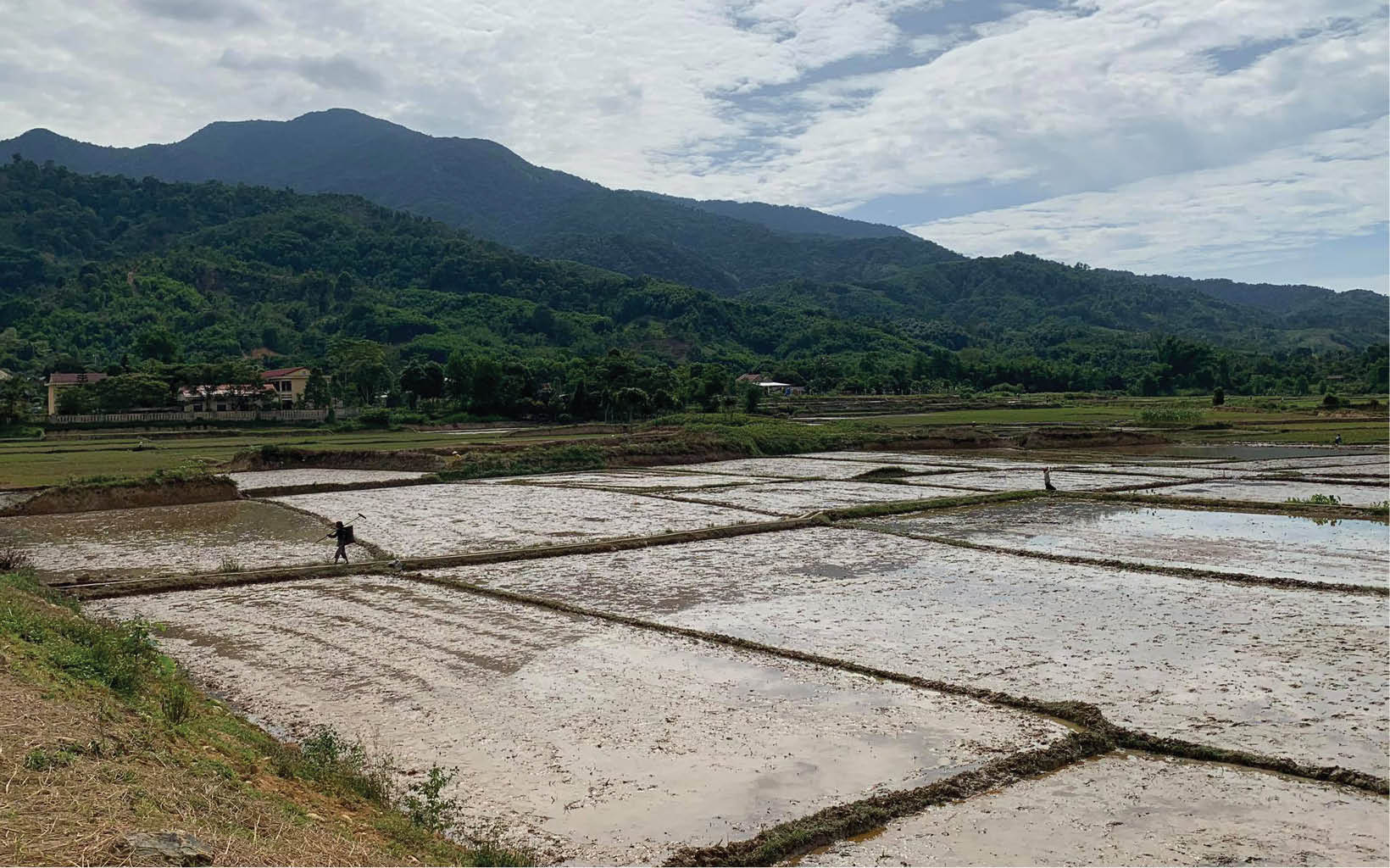 Hạn hán, xâm nhập mặn sẽ diễn biến khốc liệt