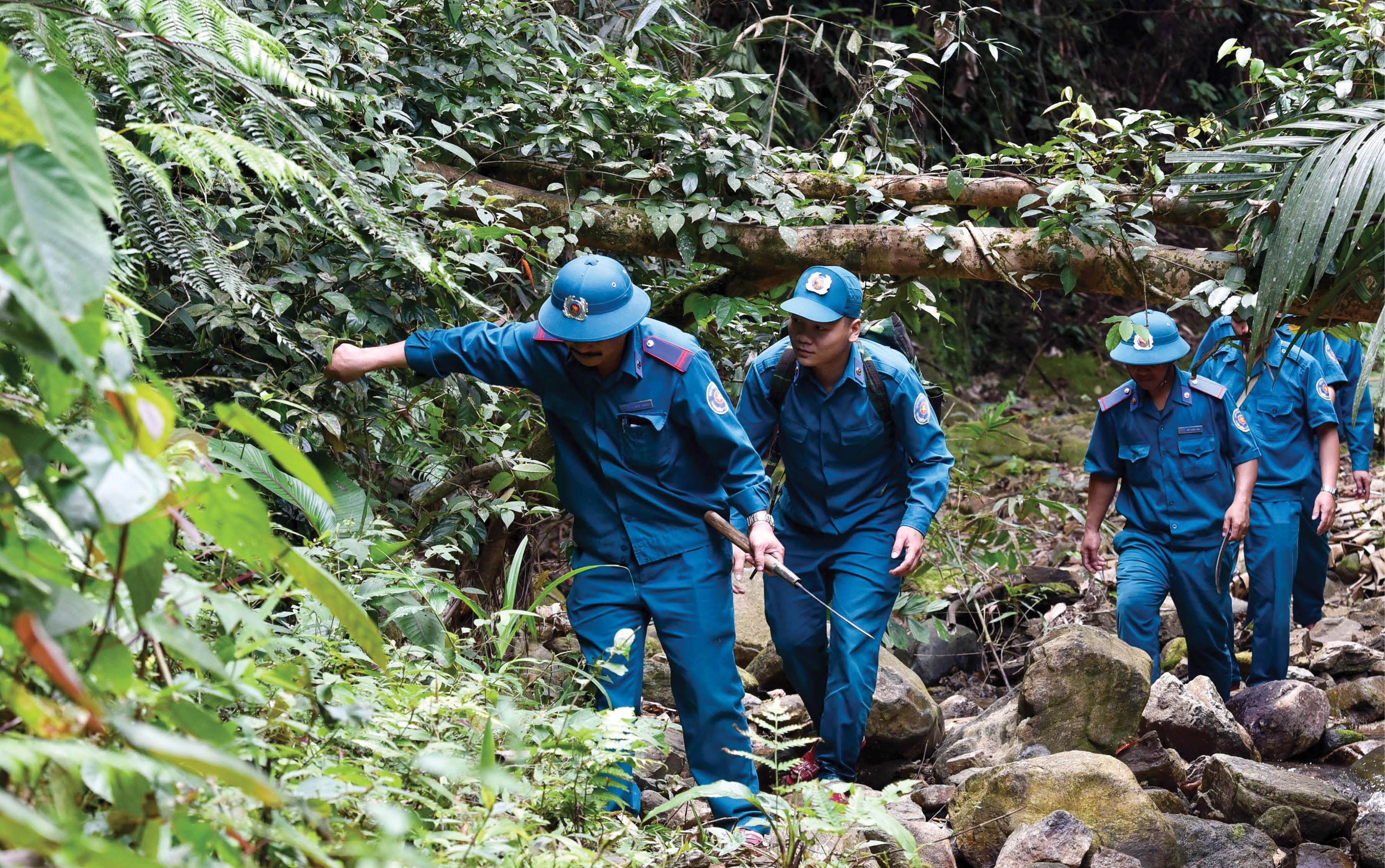 Canh rừng mùa nắng nóng