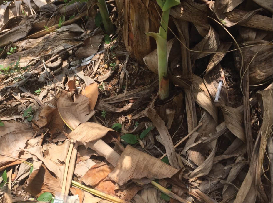 Người dân khu quy hoạch thôn Thế Lại Thượng mong sớm có điện chiếu sáng