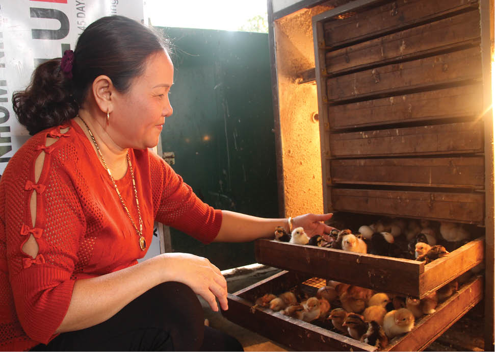 Giúp nhau thoát nghèo