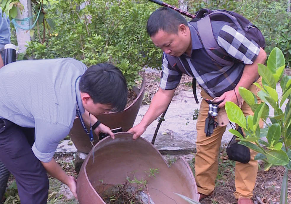 Cảnh giác với sốt xuất huyết