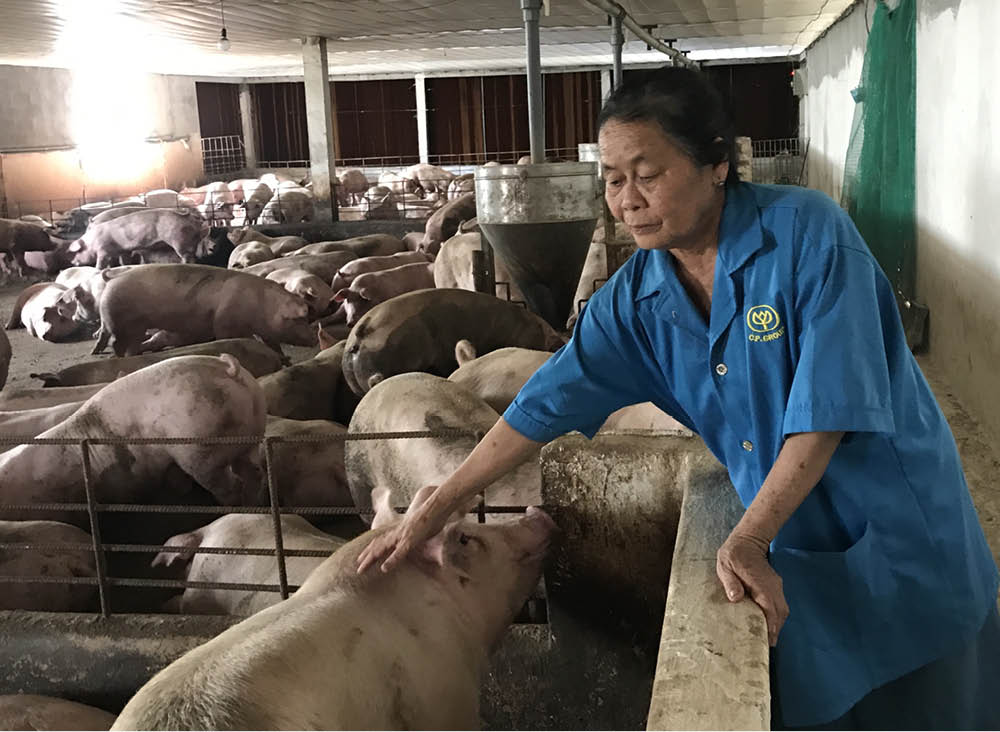 “Liều” để làm giàu