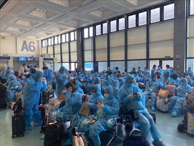 Sáng 4 6 Việt Nam 49 ngày không có ca mắc mới COVID-19 trong cộng đồng