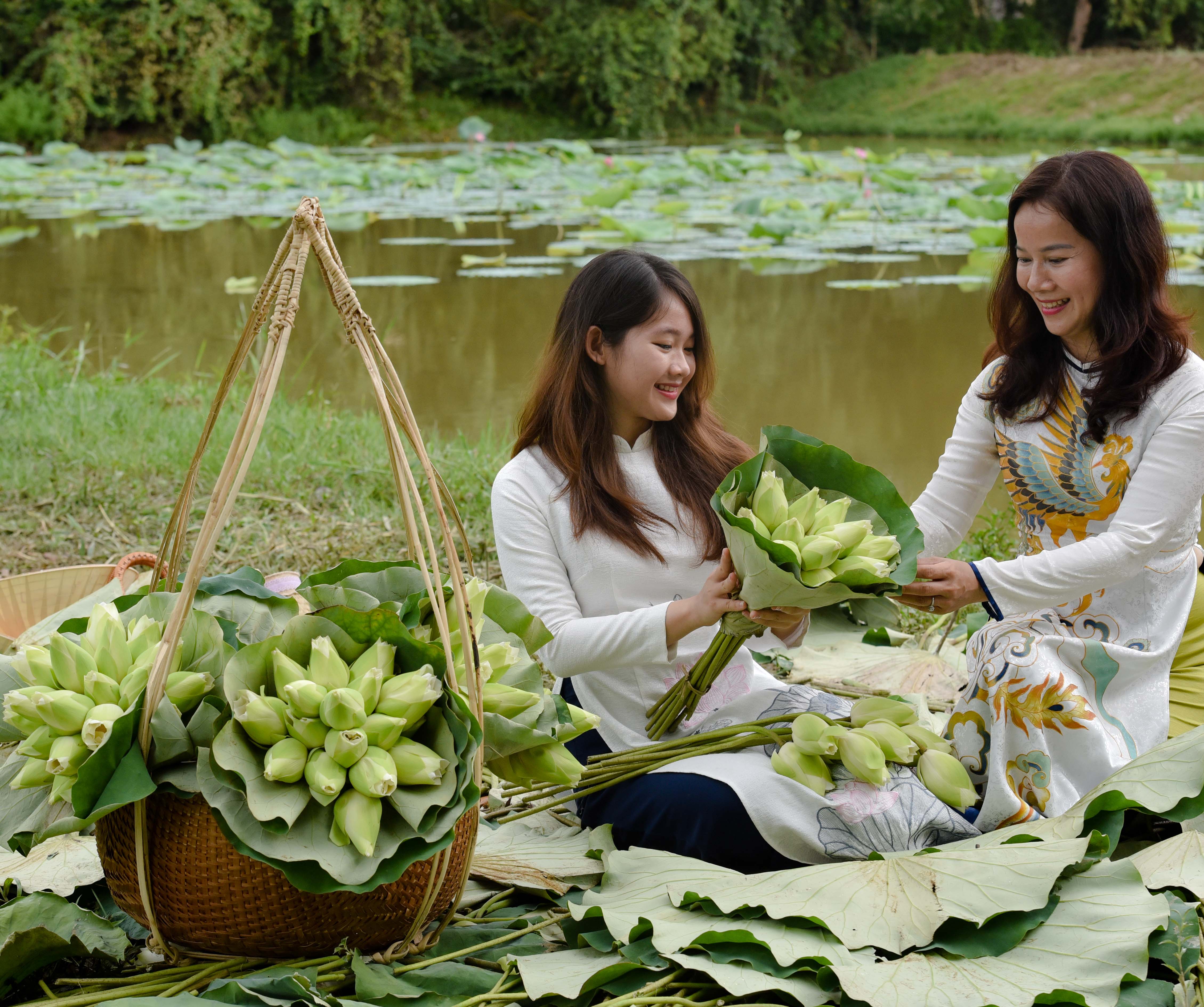 White lotus in Phuoc Tich ancient village