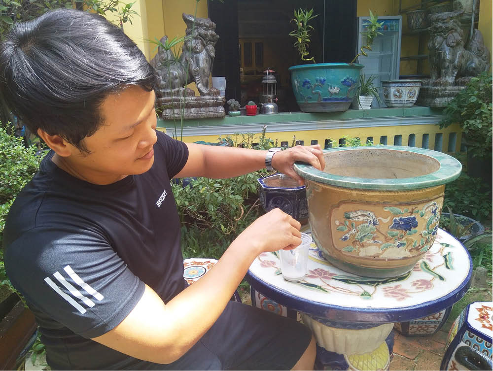 Có duyên với chậu xưa