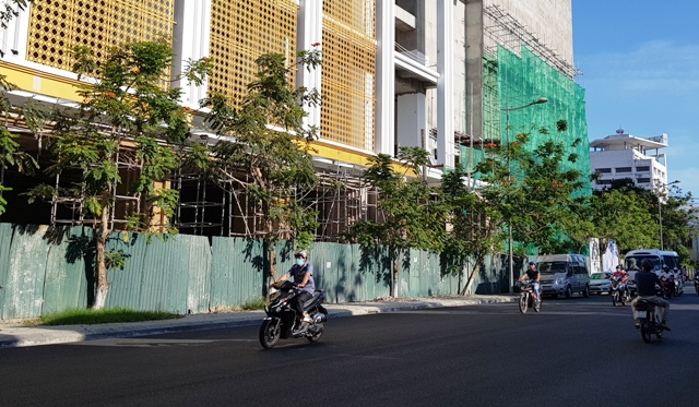 Cuối năm 2020 sẽ thay cây mới trên đường Lý Thường Kiệt