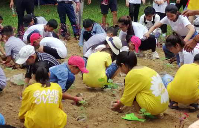 Gần 350 bạn trẻ tham gia Ngày hội Sức khỏe toàn cầu