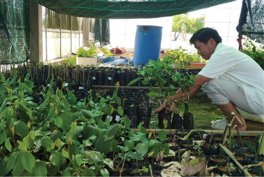 Khẳng định thương hiệu Viện Công nghệ Sinh học cấp quốc gia