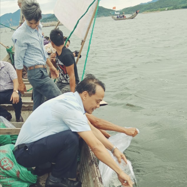 Thả hơn 58 ngàn con tôm sú và 2 ngàn con cua giống xuống đầm phá