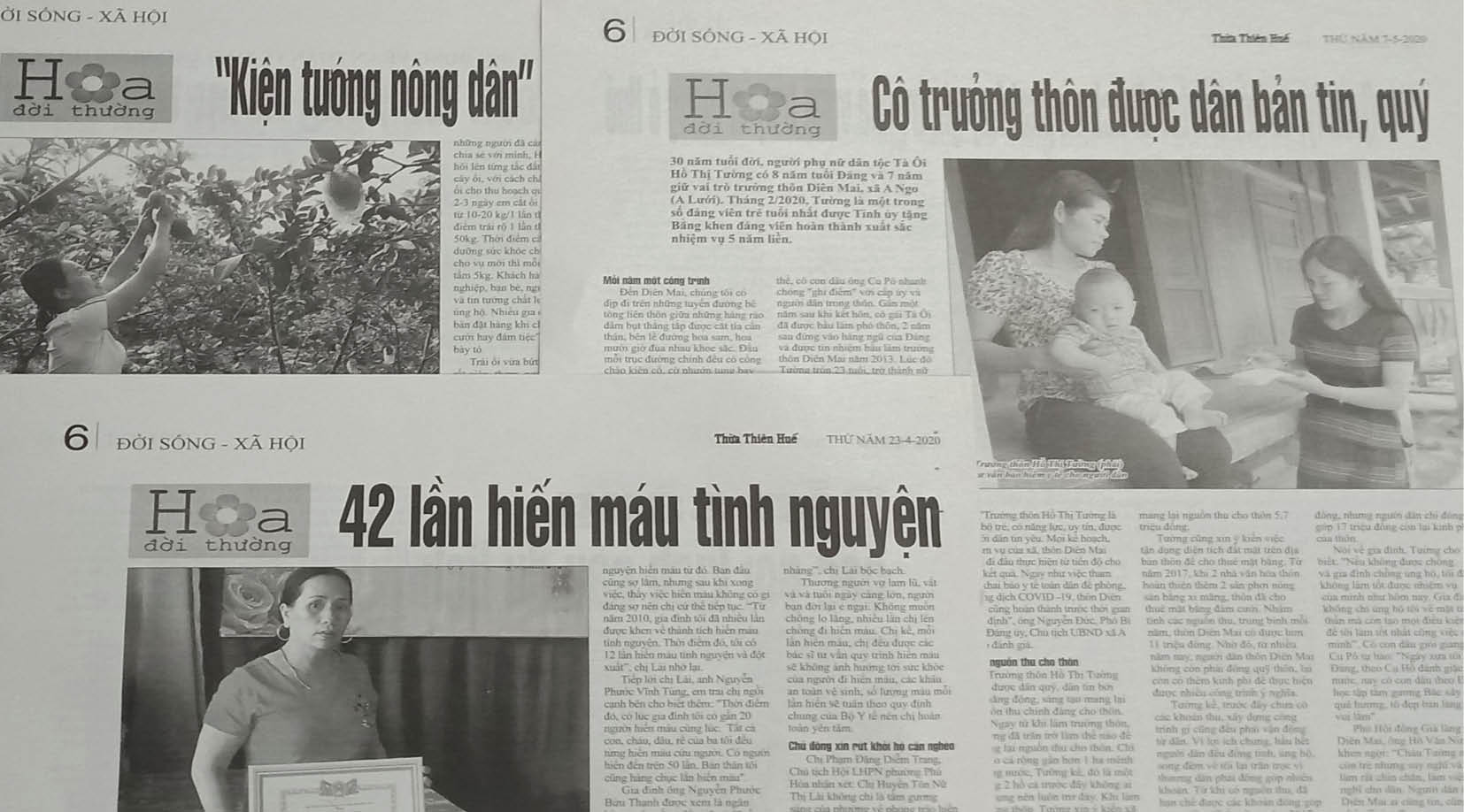 “Hoa đời thường” vẫn lặng lẽ tỏa hương