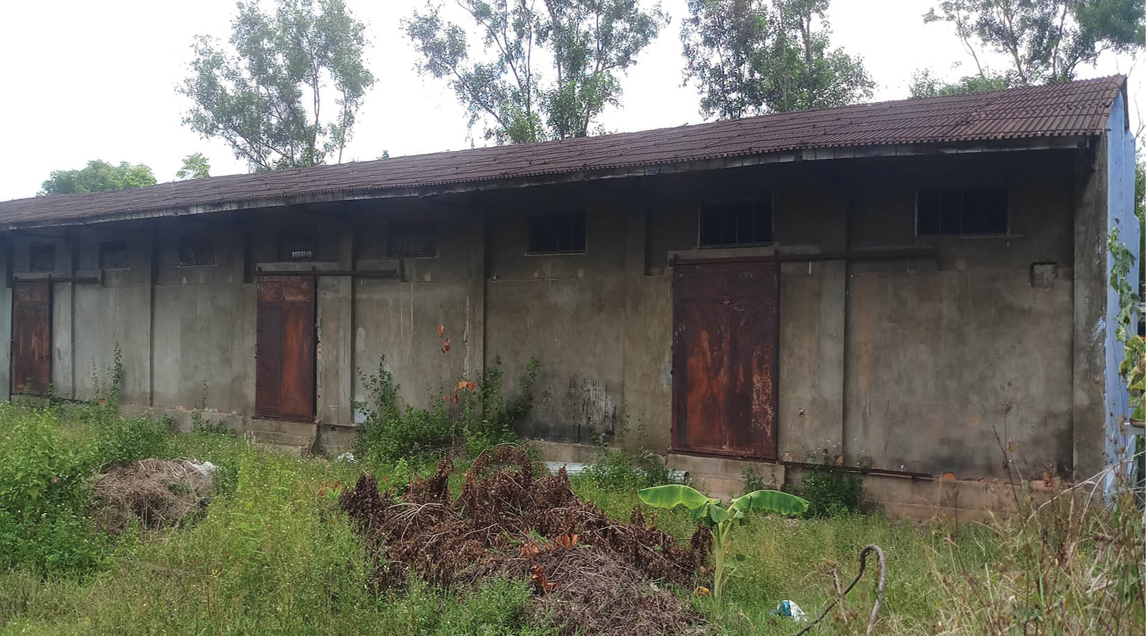 Sớm có phương án xử lý khu đất bên đường Lê Hoàn, phường Tứ Hạ