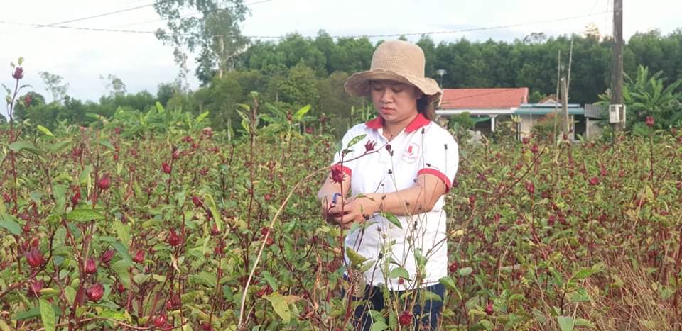 25 ý tưởng, dự án lọt vòng chung khảo cuộc thi “Phụ nữ khởi nghiệp” lần thứ II