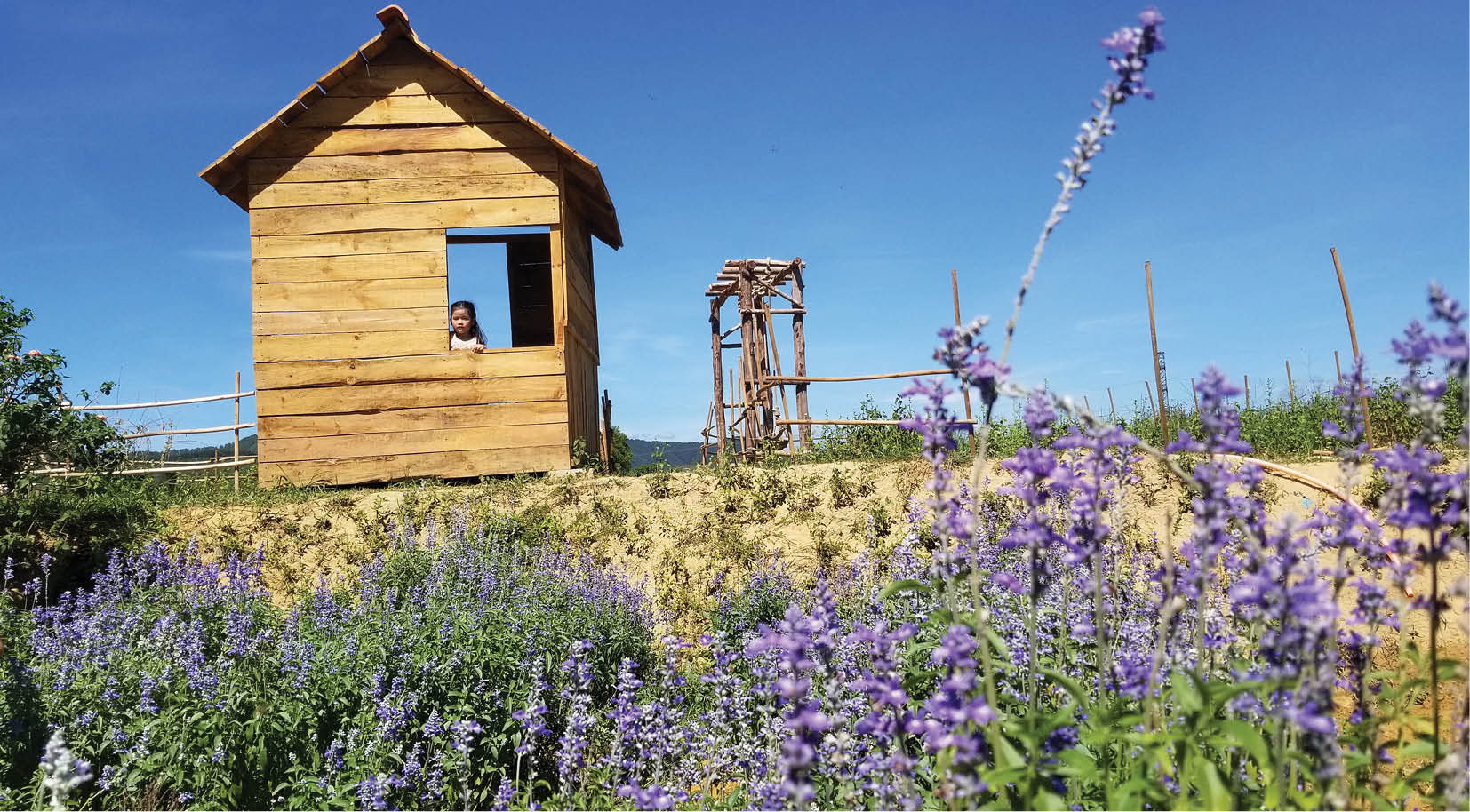 Khởi nghiệp theo hướng “Green life”