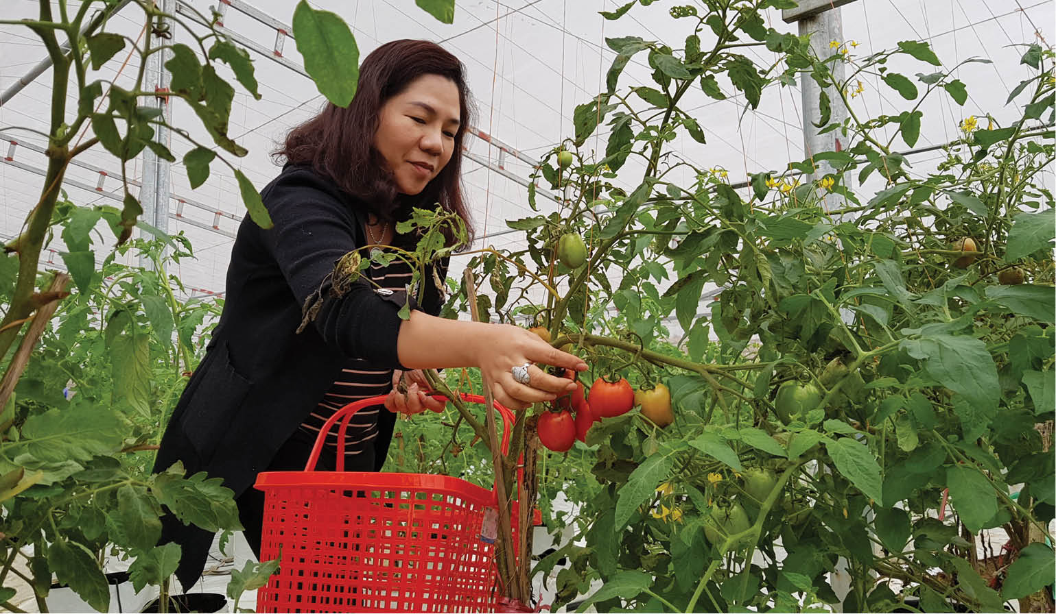 Momentum for the economy of Thua Thien Hue