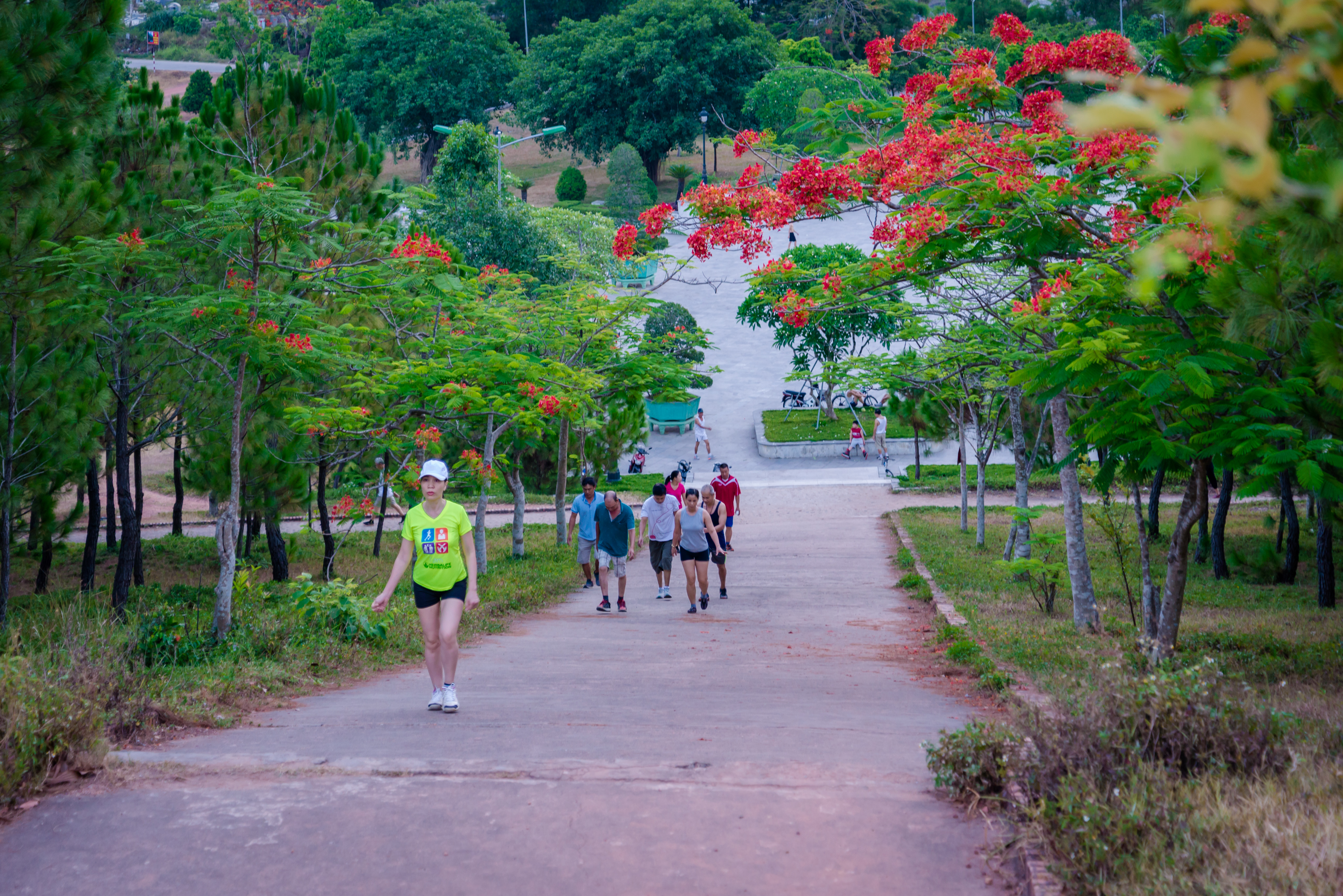 Những cung đường xanh mát