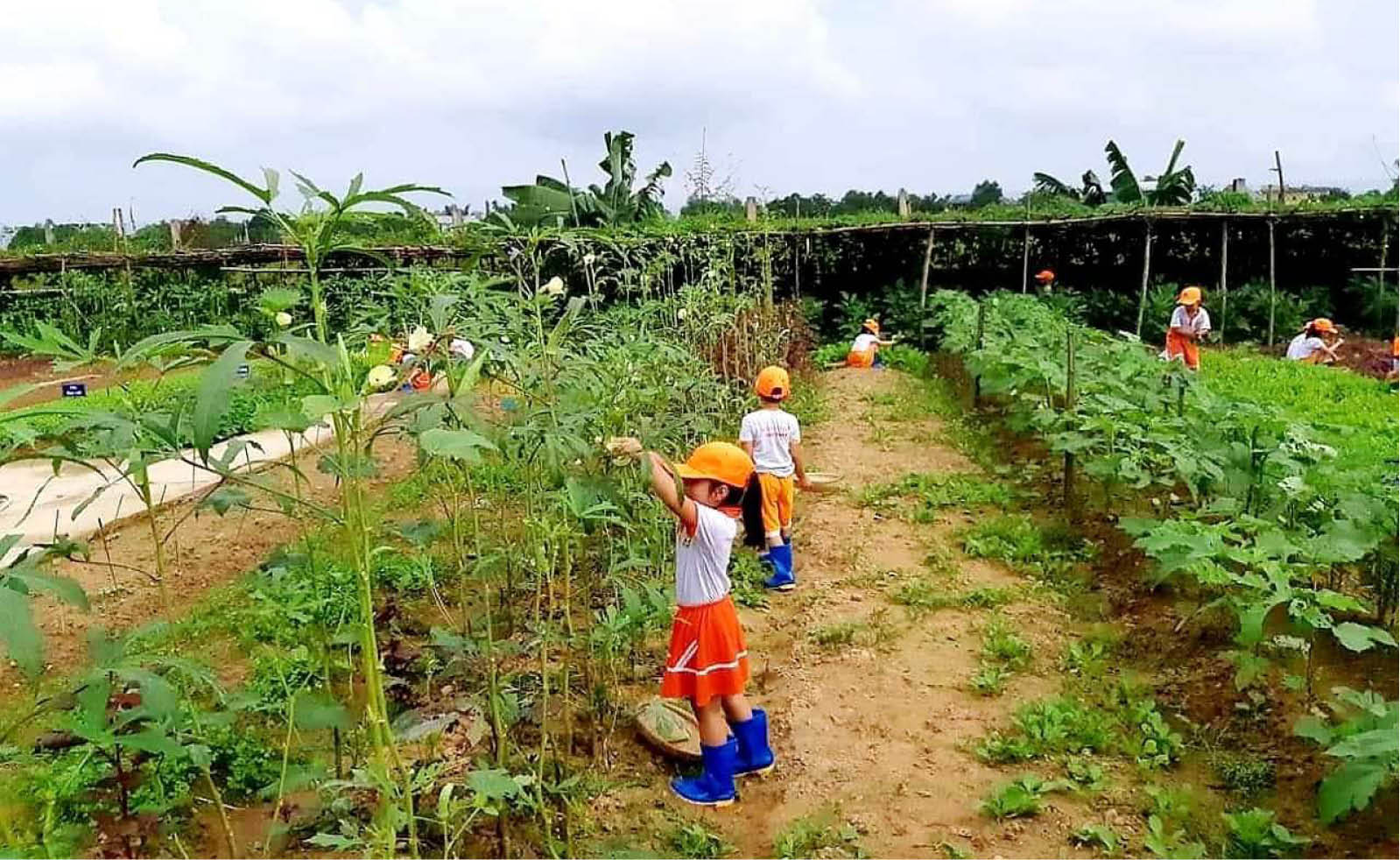 Chủ Nhật xanh không đơn thuần là dọn vệ sinh