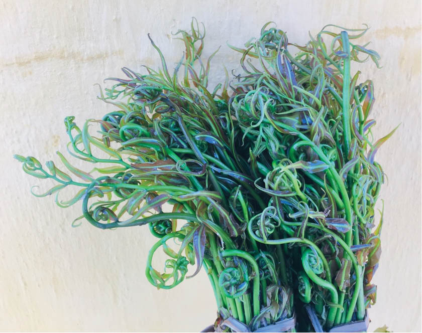 Đọt choại xóc tỏi