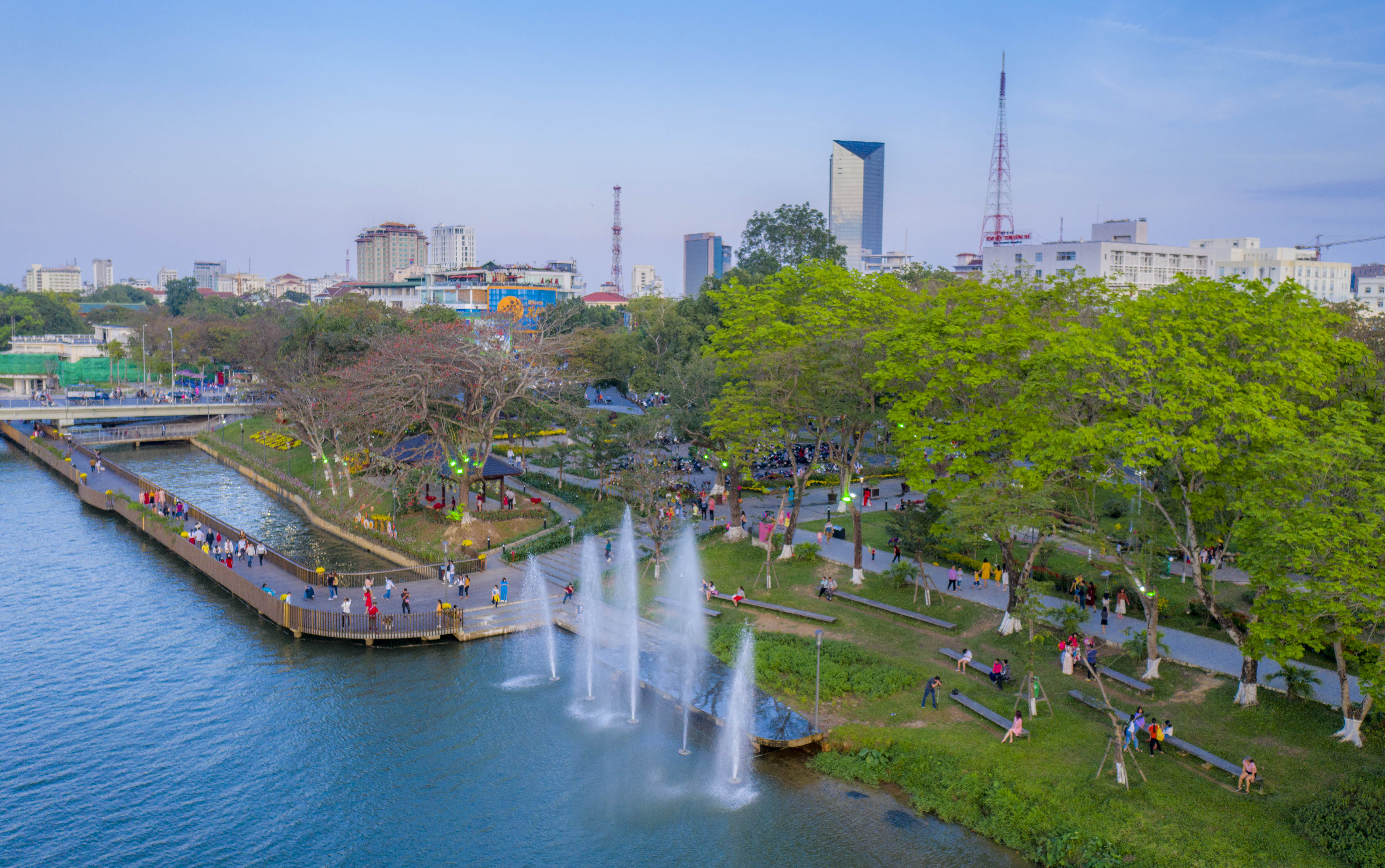 Cây xanh xứ Huế