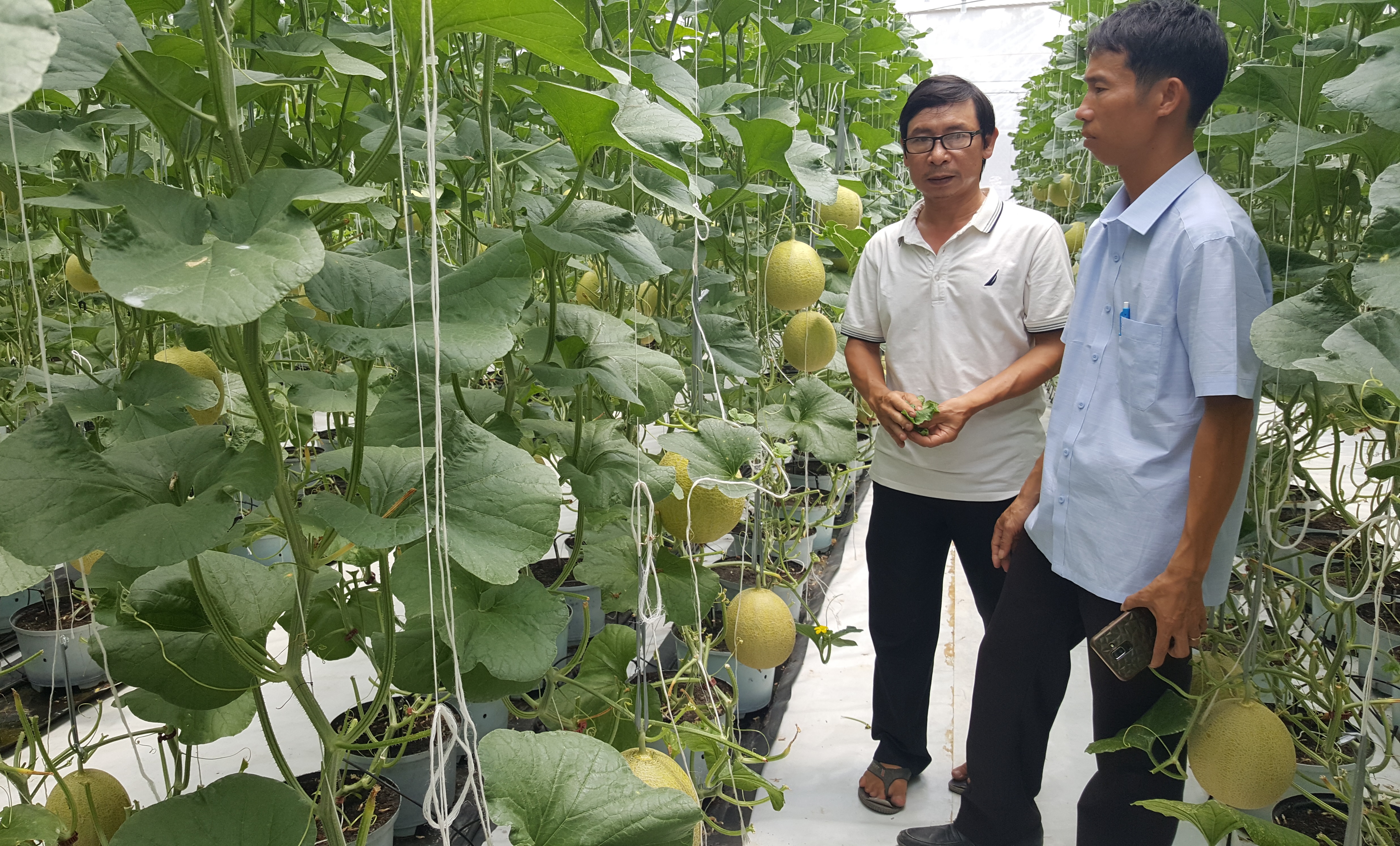 Chuyển biến tích cực trong hoạt động khoa học công nghệ ở cơ sở