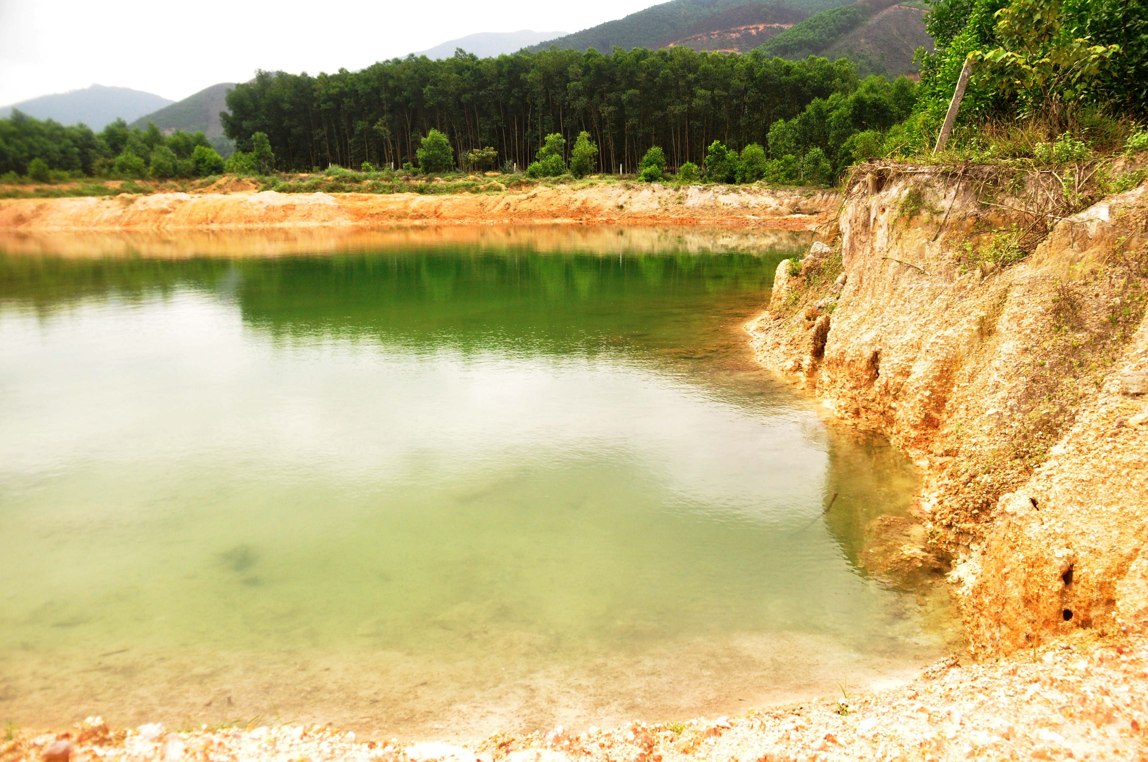 Dự án trang trại tổng hợp khai thác đất ngoài phạm vi cấp phép