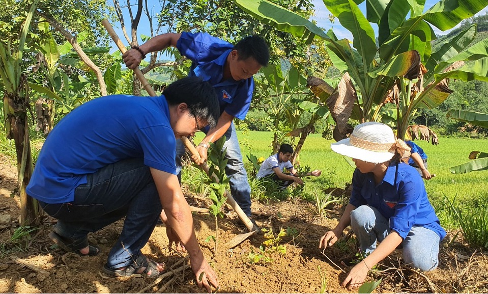 Tuổi trẻ Đoàn Khối Cơ quan và Doanh nghiệp tỉnh giúp dân xây dựng nông thôn mới