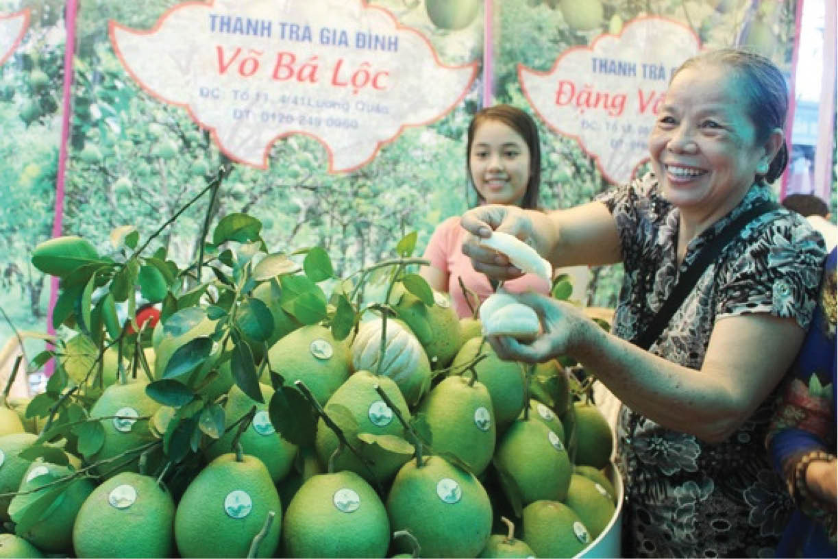 Khai thác thế mạnh cây thanh trà