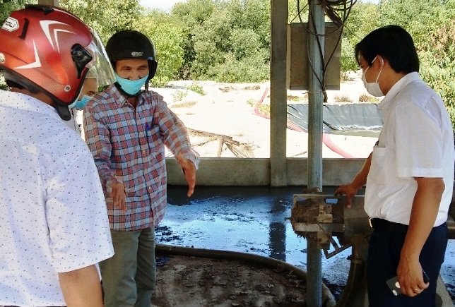 Kiên quyết xử lý dứt điểm mùi hôi từ trang trại nuôi heo ở Điền Hòa