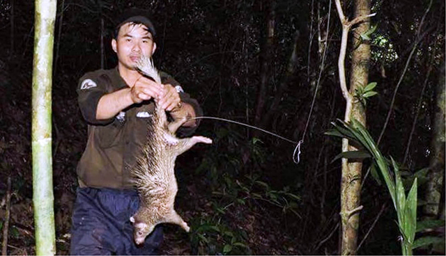 Thay đổi hành vi hướng đến bảo tồn rừng, động vật hoang dã