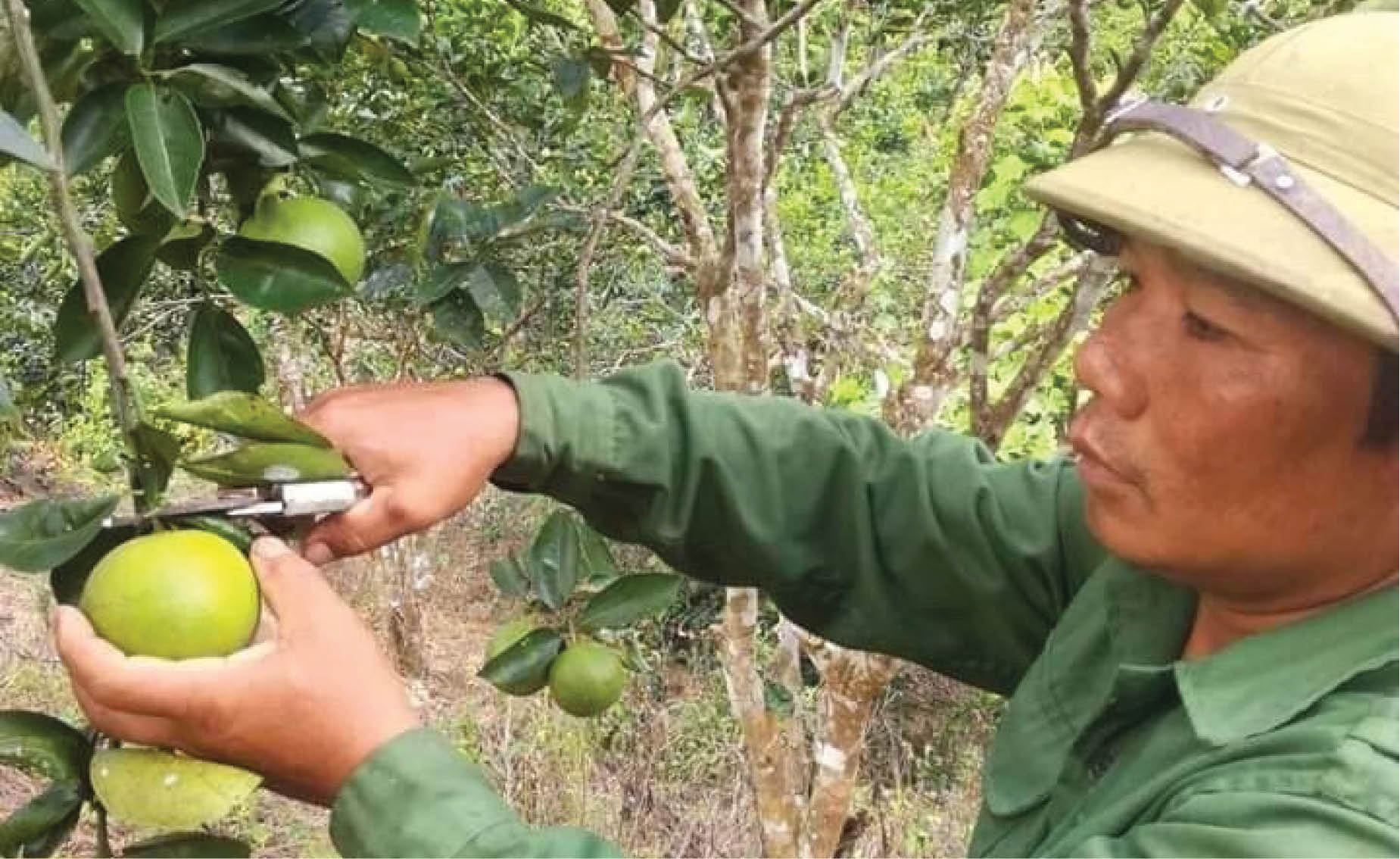 Tín dụng chính sách “Bà đỡ” cho hộ nghèo