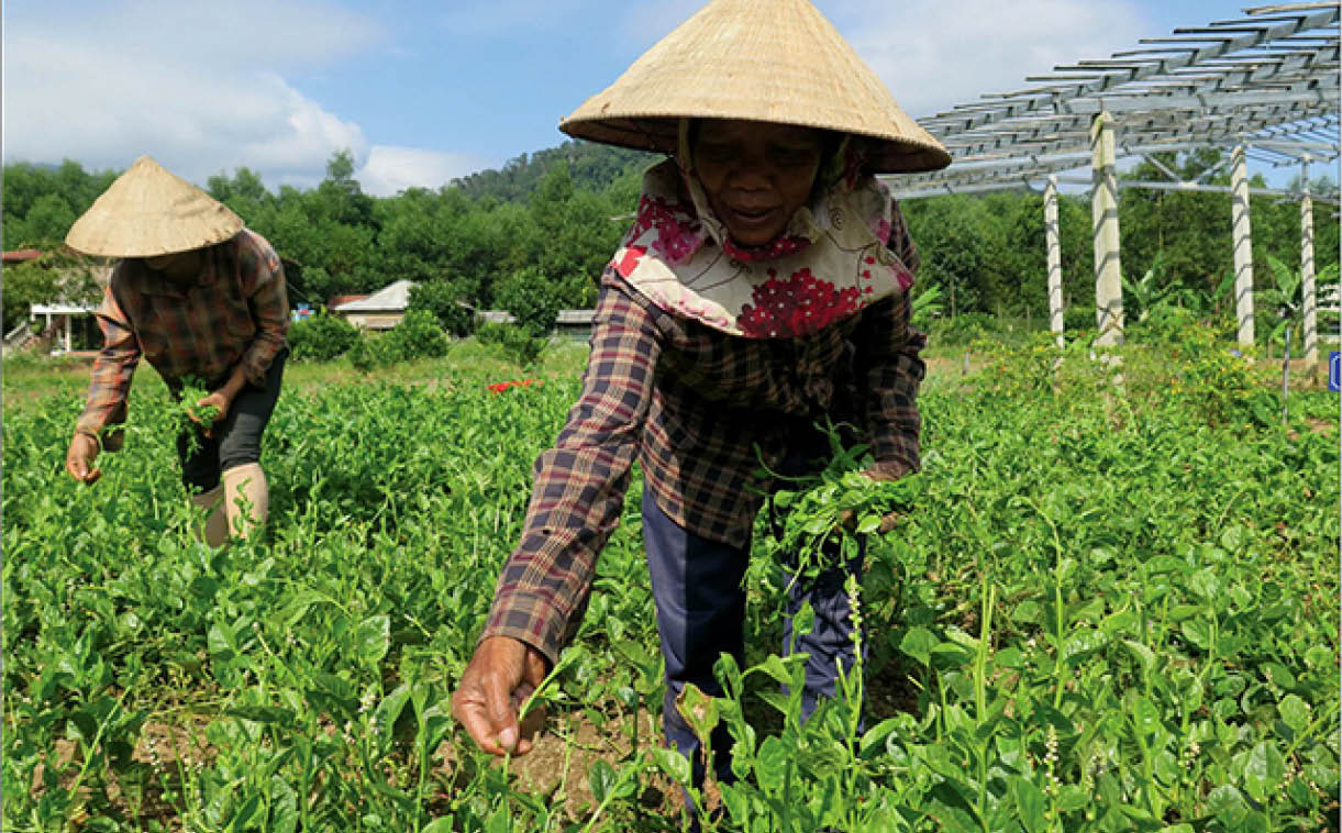 Rõ mô hình, rõ kết quả