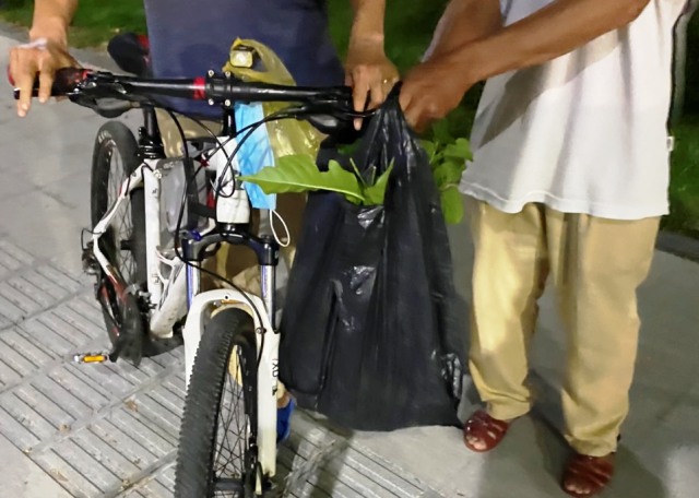 Vấn nạn trộm hoa, cây nơi công cộng