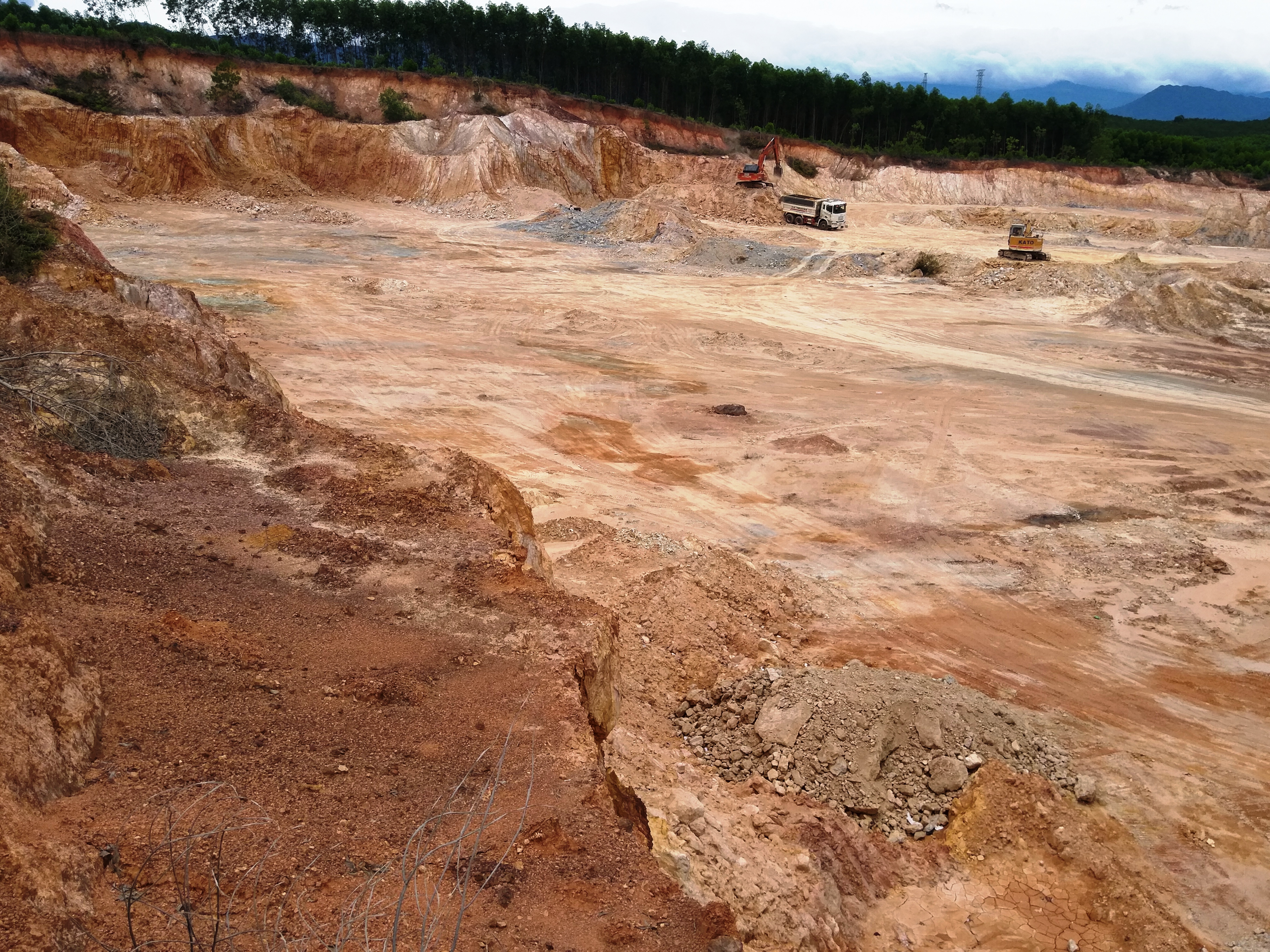 Xử phạt Công ty CP Lâm nghiệp 1-5 120 triệu đồng